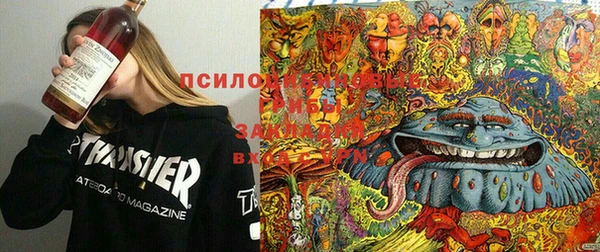 стафф Михайловка