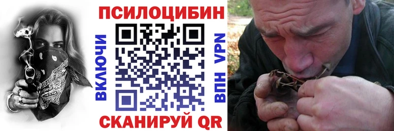 Купить где  Ноябрьск  Псилоцибиновые грибы Psilocybine cubensis 